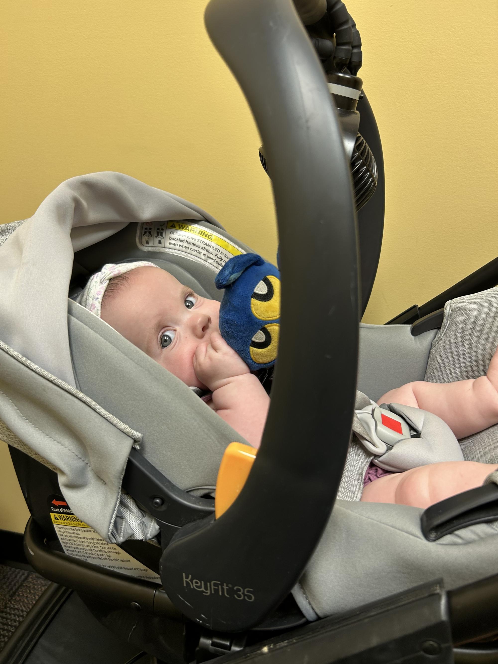 Visiting Dr Erica